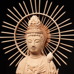 倉田　亘のプロフィール