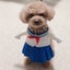 Ayuのサムネイル