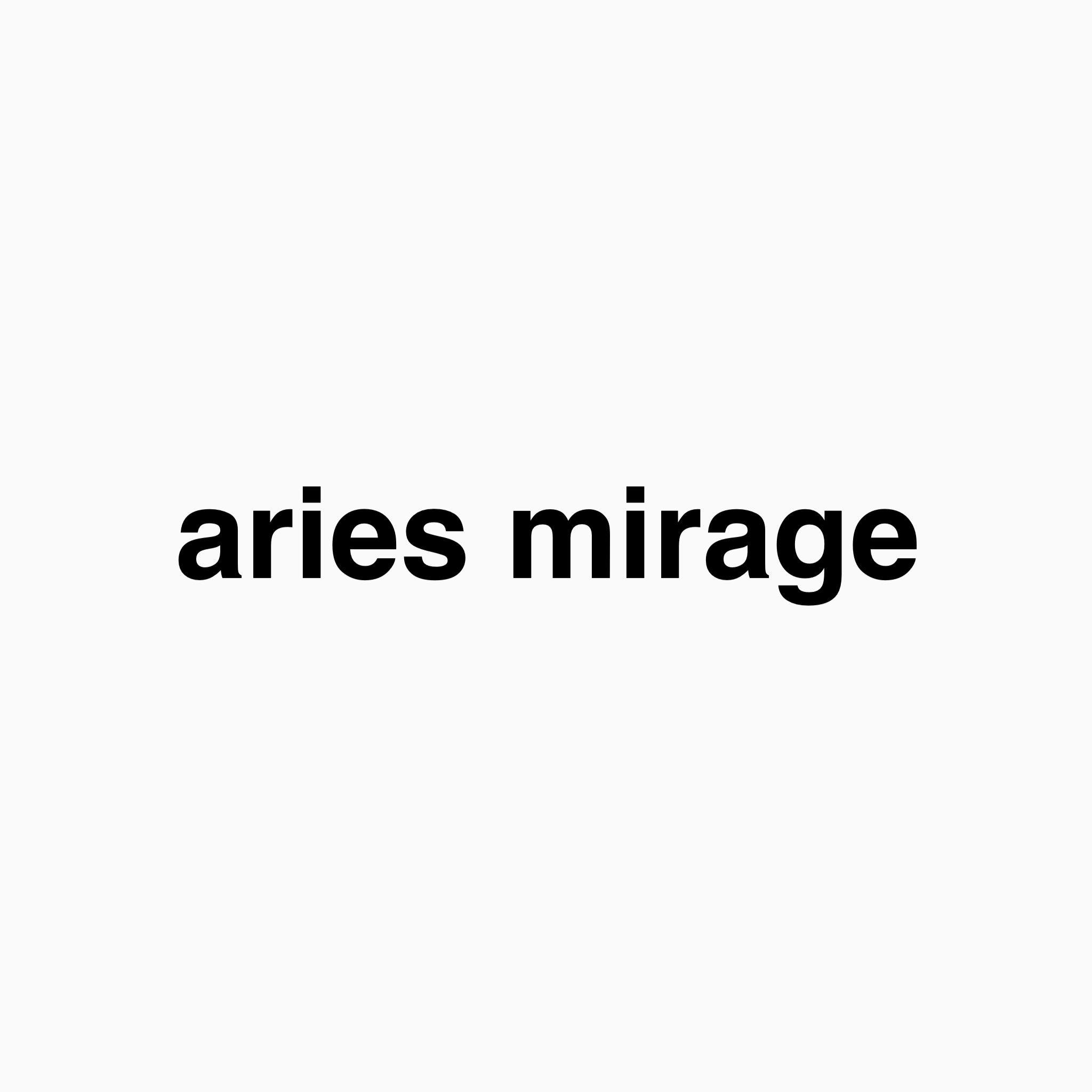 ☆スウェードバッグご予約について☆ | aries mirage