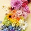 ♥手帳とノートで夢を叶えよう♥Love the life you live,Live the life you love.のサムネイル