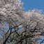 画像 [医学部受験日記]のユーザープロフィール画像