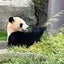 Mr.かこたさんせいのサムネイル