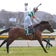 己の信念を貫く競馬予想