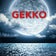 GEKKOの釣り日記