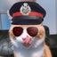 はっちゃんのサムネイル