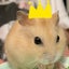 luministのサムネイル