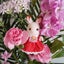 yukari-aのサムネイル