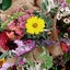 画像 …˖*ꕤ KEIKO BLOG ꕤ…˖*のユーザープロフィール画像