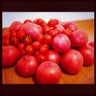 tomato keitaのプロフィール