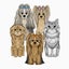 画像 ３女２男　犬と猫の愉快な家族のユーザープロフィール画像