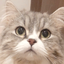 なちやのサムネイル