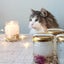 画像 猫とキャンドルと私～nao candle～のブログのユーザープロフィール画像