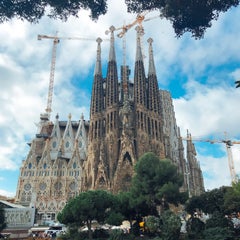 umibarcelonaのプロフィール