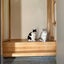 画像 　　『福島県郡山市』　ホリスティックサロン　猫と犬のマッサージ「猫もみ犬もみ」のユーザープロフィール画像