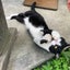 ちーぽんのサムネイル