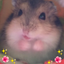 🌺🐹サンちゃん🐹🌺のサムネイル