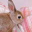 since1929のサムネイル