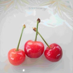 しりゅうの親父のプロフィール