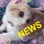 画像 NEWSと猫とまっすーと♡♡♡のユーザープロフィール画像