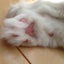 chataのサムネイル
