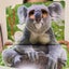ゆるパパのサムネイル