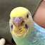 ピーナッツのサムネイル
