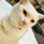 画像 2児ママ・レベルアップへの道のユーザープロフィール画像