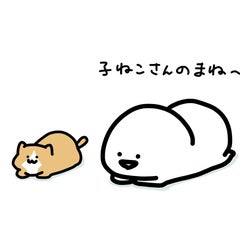 Nのプロフィール