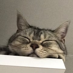 手作り母ちゃんのプロフィール