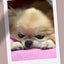 Satomiのサムネイル