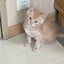 まぁこ。のサムネイル