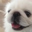 maroのサムネイル