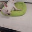ゆっけちゃんのサムネイル