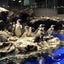 ゆにおのサムネイル