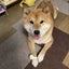 宗治 と みぃ と つぼみのサムネイル