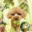 とむ☆のサムネイル