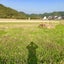 たあのサムネイル