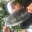 fishingorderのサムネイル