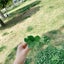 ぽてちのサムネイル