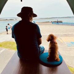 hide & syusyuのプロフィール