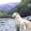 　　HJのサムネイル