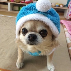 Nagomiのプロフィール