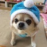 Nagomiのプロフィール
