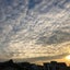 画像 自分の学びをアウトプットClassical Beautiful Lifeのユーザープロフィール画像