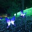 rurumのサムネイル