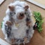 seikoのサムネイル