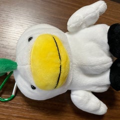 kotojifujiのプロフィール