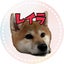 shibainu-reiraのサムネイル