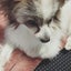 ちぃちゃん闘病記☆のサムネイル