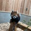 みーんやこのサムネイル